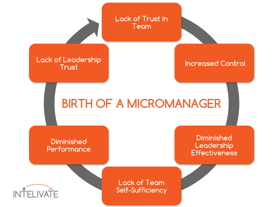 Micro Managing