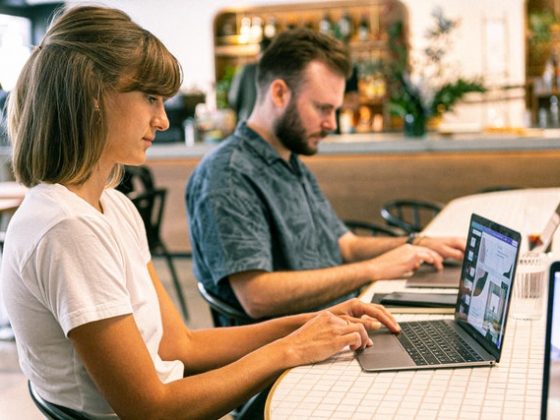 Web Designer