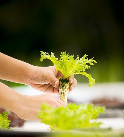 future food technology
