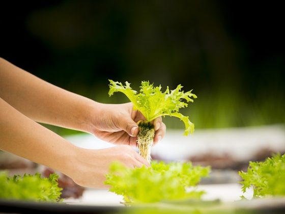 future food technology